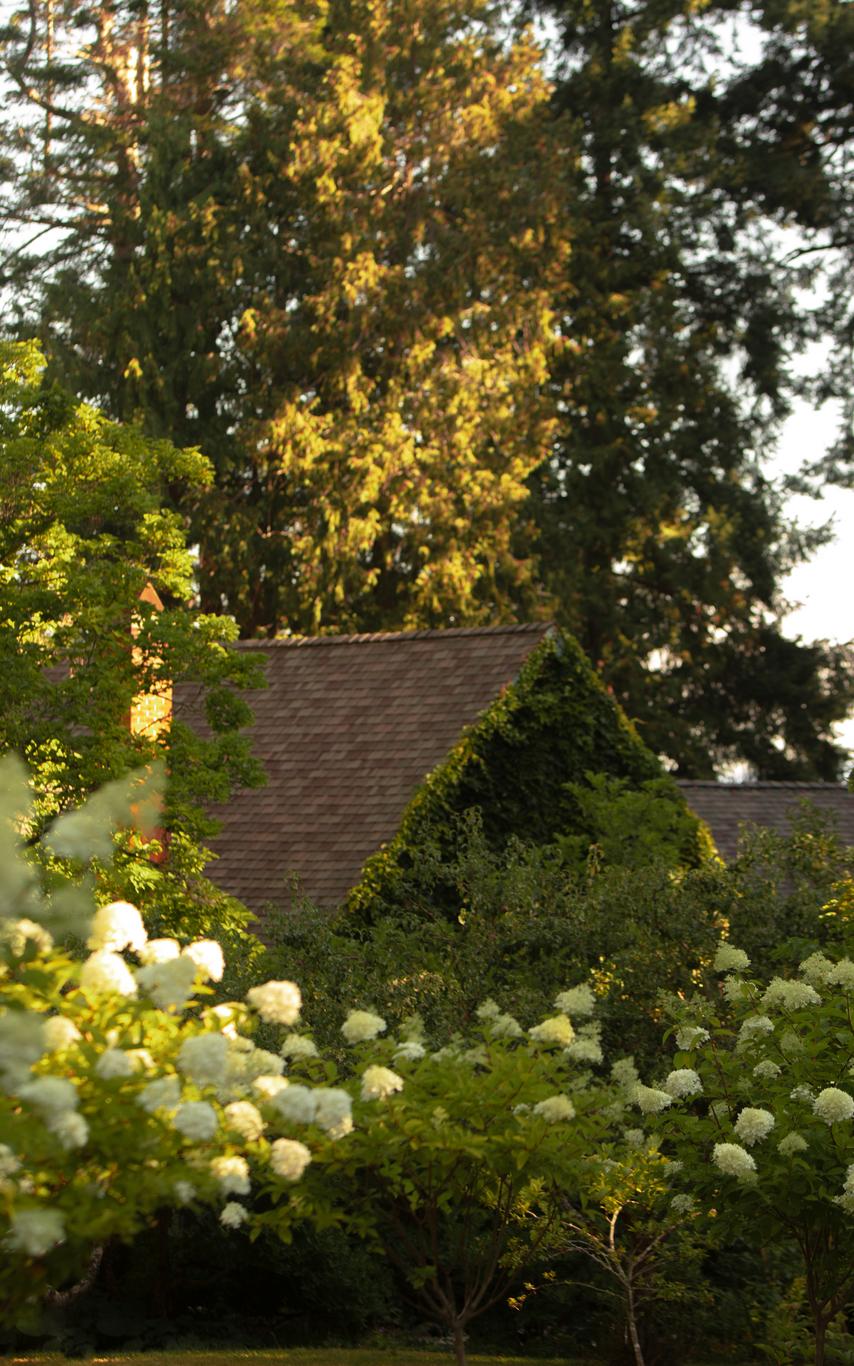 Cottage in a garden